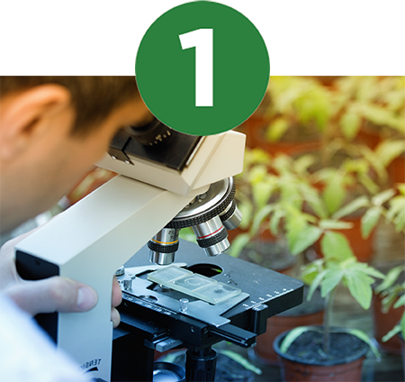 Evaluate Soil Health