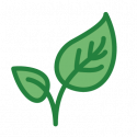 SoilFood_Icons_v2_bring back life Bring Back Growth with the Soil Food Web