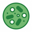 SoilFood_Icons_v2_microbes The Benefits of the Soil Foodweb School