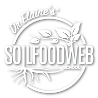 Dr. Elaine's Soil Foodweb School