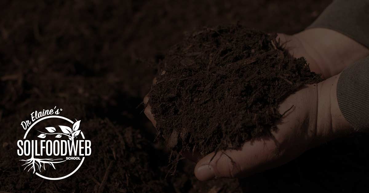 Soil Food Web Essentials Courses Overview - Soil Food Web School
