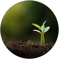 Produce-BioComplete Produce BioComplete Extracts