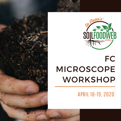 Soild Food Web - Foundation Courses Workshop