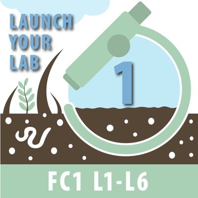 Launch Your Lab Payment Plan: Part 1 of 10