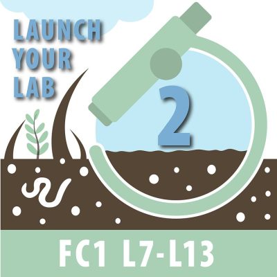 Launch Your Lab Payment Plan: Part 2 of 10
