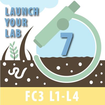 Launch Your Lab Payment Plan: Part 7 of 10