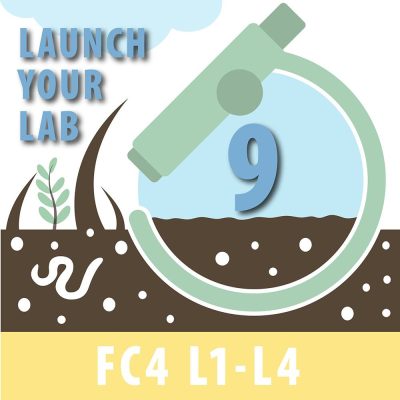 Launch Your Lab Payment Plan: Part 9 of 10
