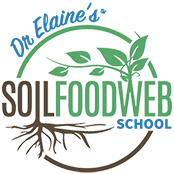 Dr. Elaine's Soil Food Web School