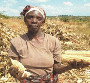 Tiyeni-trained farmer in Malawi