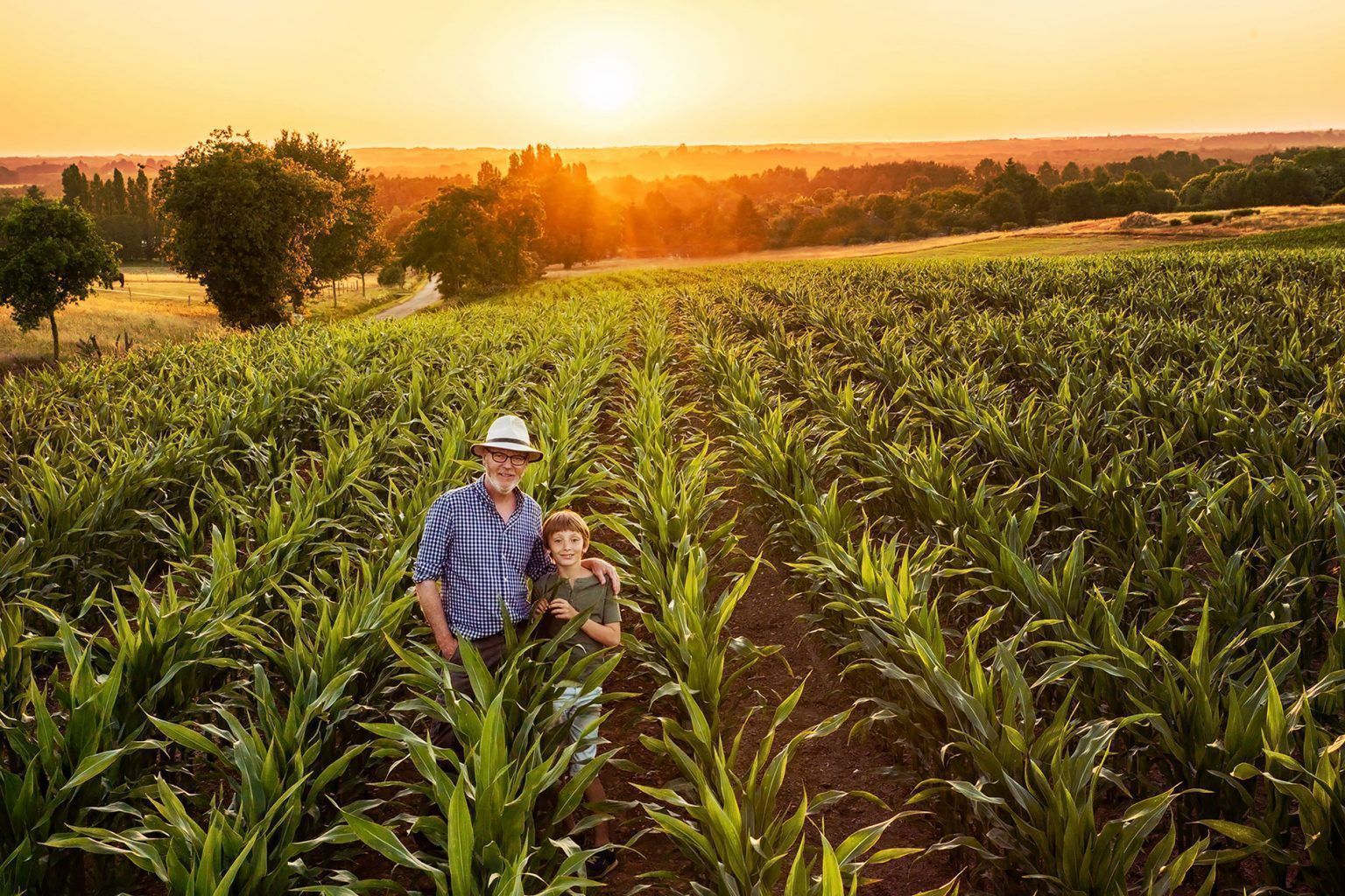 ﻿SSR Soil Sponge Regeneration Overview Soil Food Web