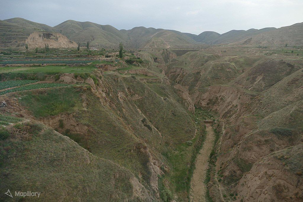 Ecosystem Restoration Camps are Healing Natural Ecosystems and Human Communities