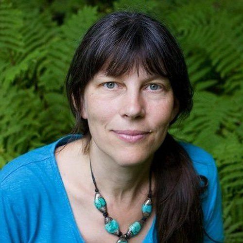 Didi Pershouse Soil Sponge Regeneration Soil Food Web School