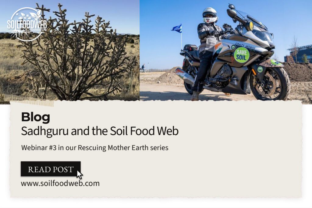 Sadhguru and the Soil Food Web