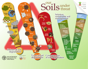 FAO: Our Soils Under Threat - Drivers of soil degradation, types of soil degradation, consequences of soil degradation. Solution: sustainable management.
