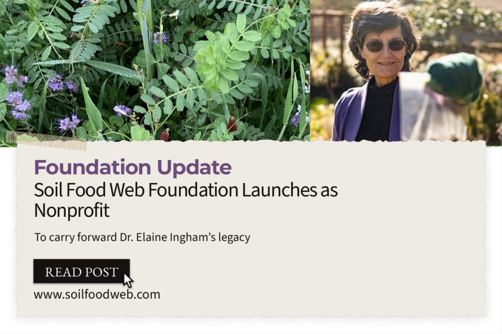 Soil Food Web Foundation Launches as Nonprofit to Carry Forward Dr. Elaine Ingham’s Legacy