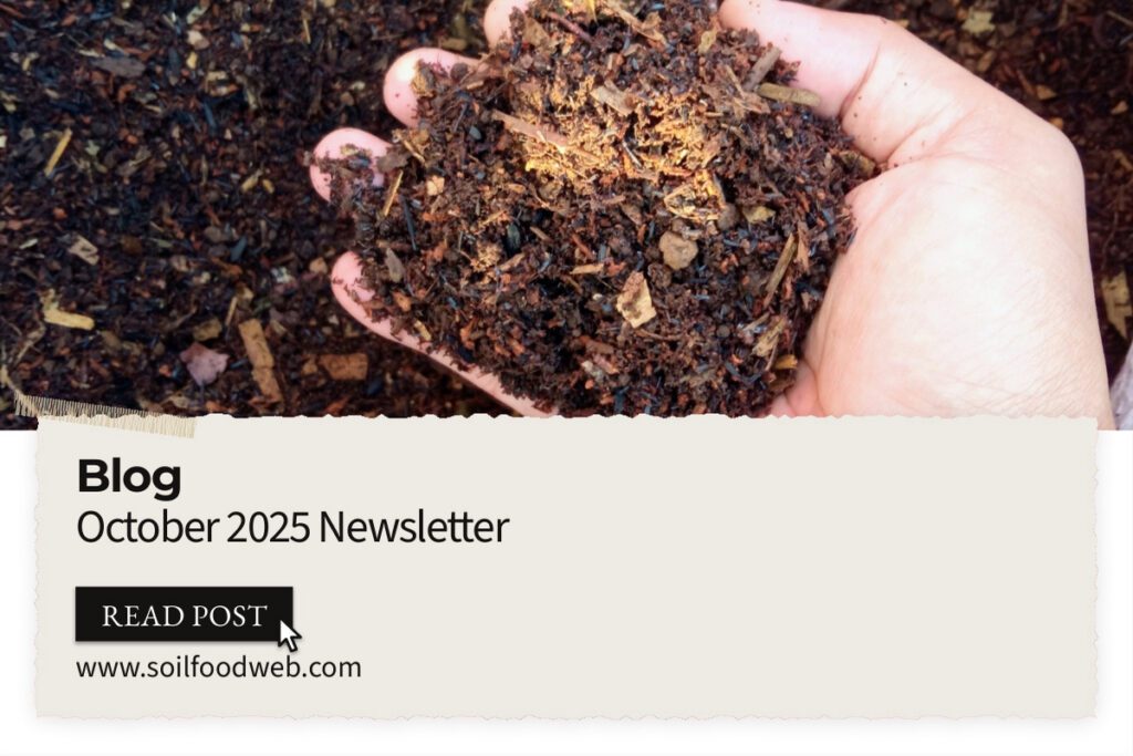 October 2025 – Newsletter