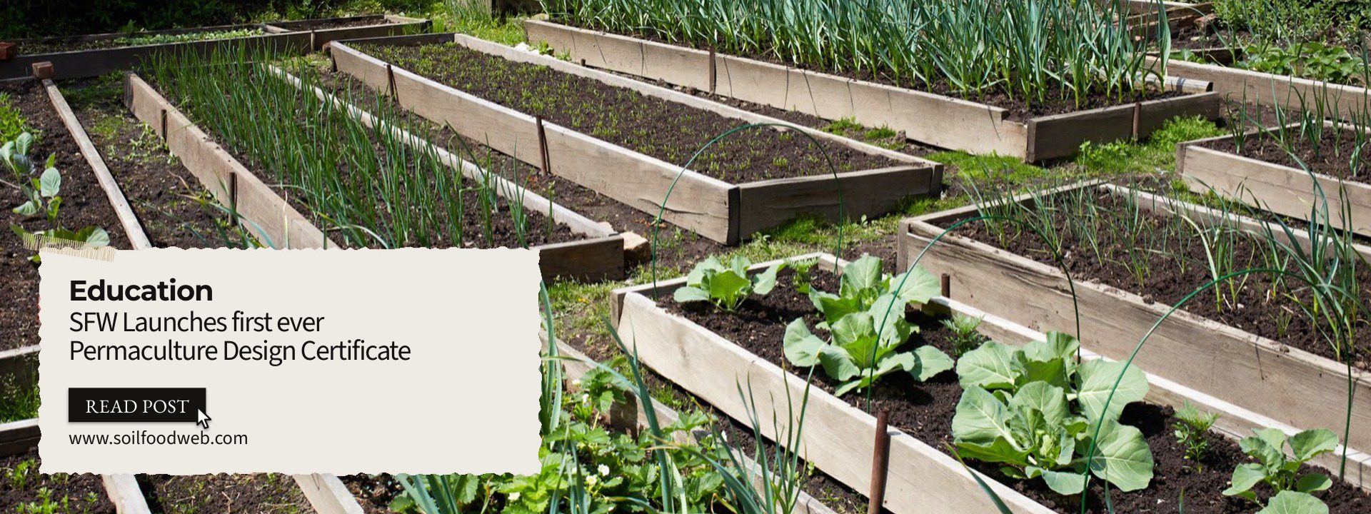 The Soil Food Web School Launches Its First-Ever Permaculture Design Certificate Course — A Milestone Moment for Regenerative Education
