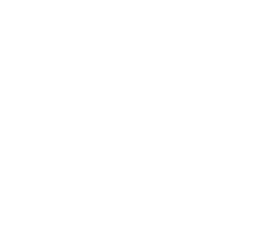 Soil Food Web Foundation