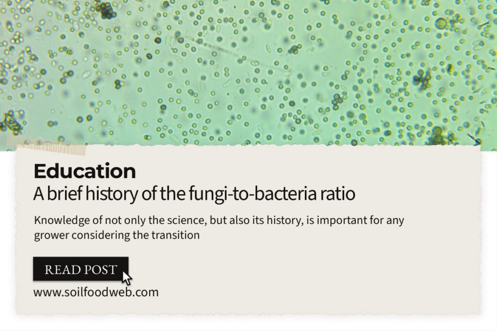 A brief history of the fungi-to-bacteria ratio