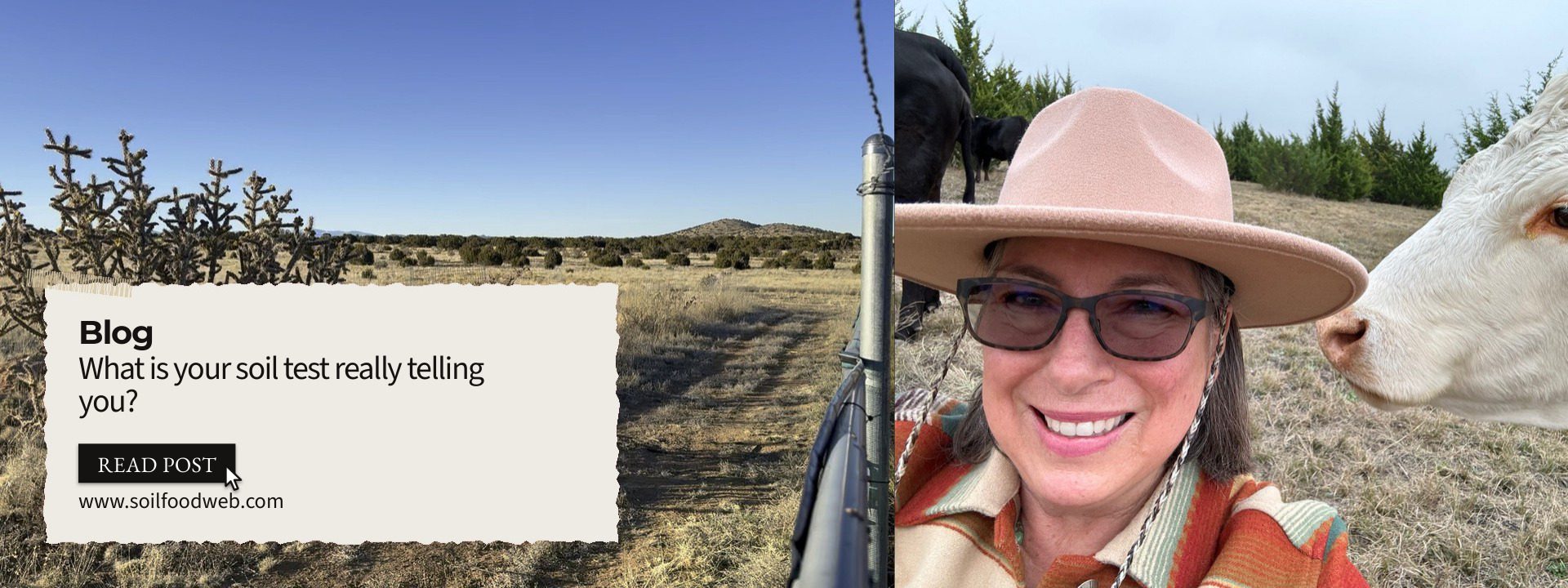 Learning to See: What Is Your Soil Test Really Telling You?