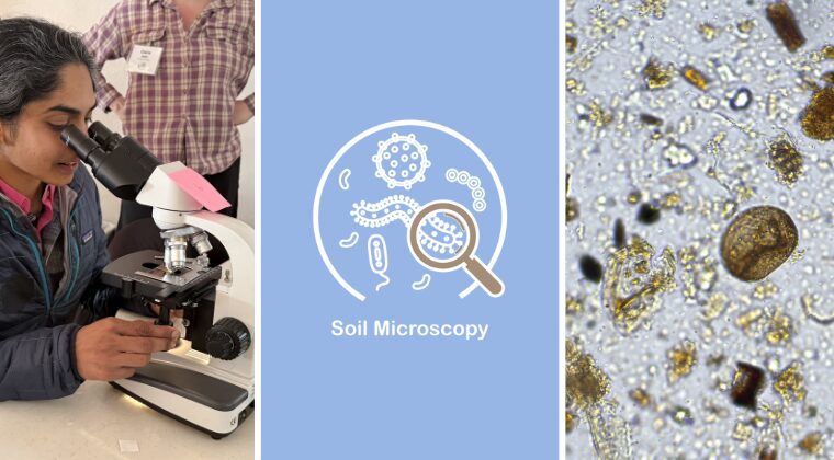 Soil Microscopy