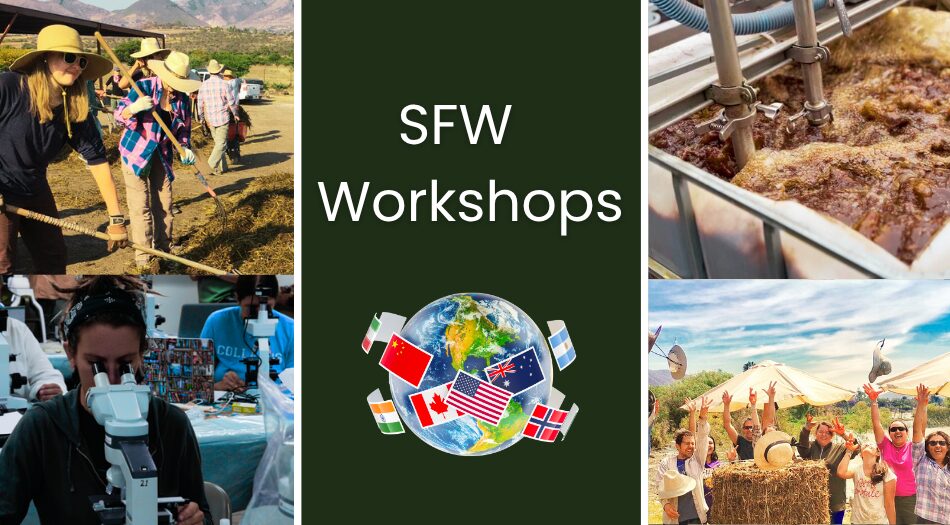 Workshops