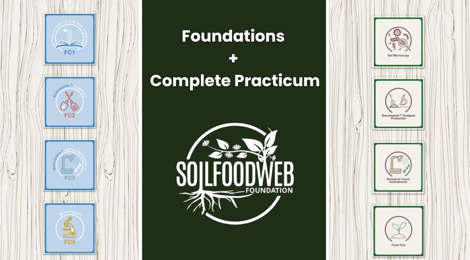 Foundations + Complete Practicum