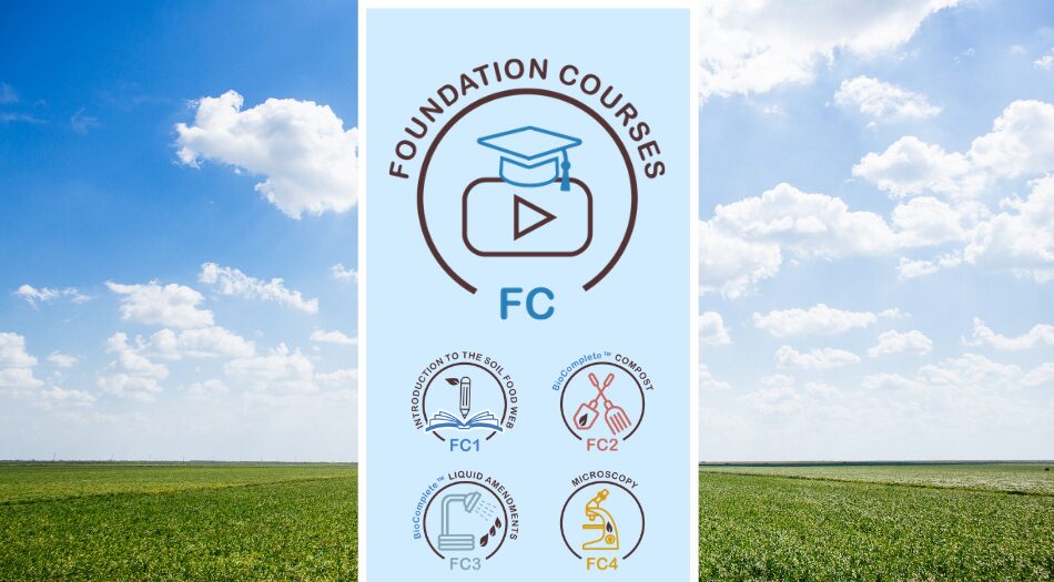 Foundation Courses