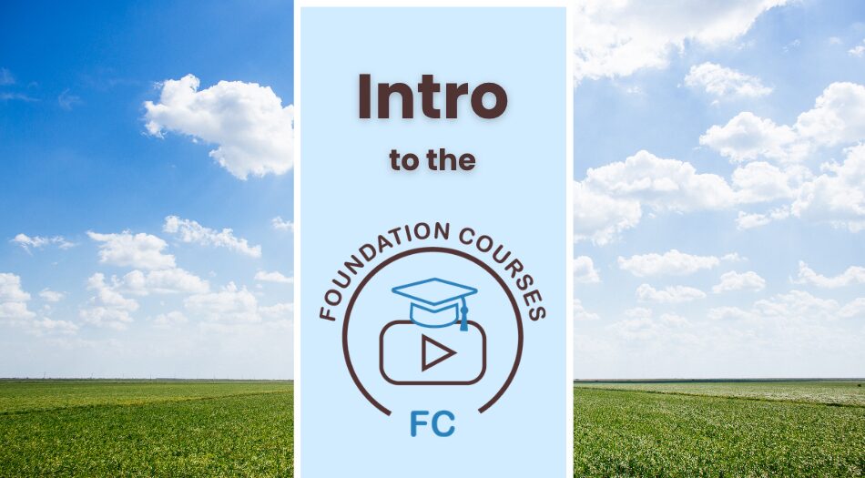 Intro to the Foundation Courses