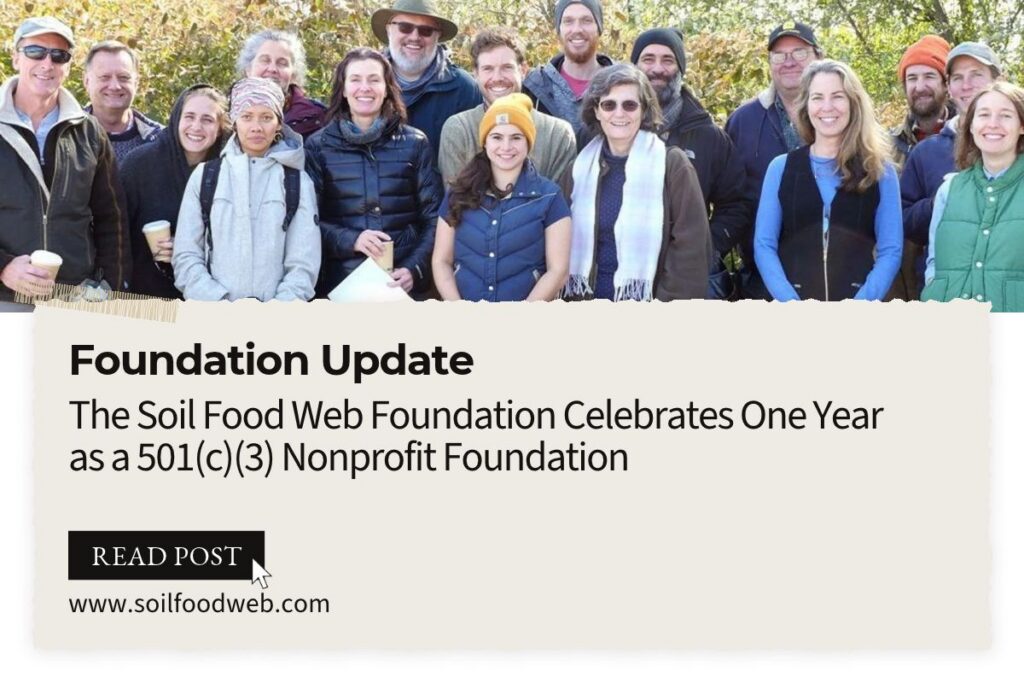 One Year Strong: A Letter from the Soil Food Web Foundation